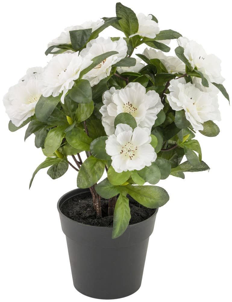Cream Belgium Azalea Faux Plant