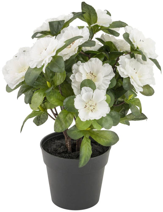 Cream Belgium Azalea Faux Plant