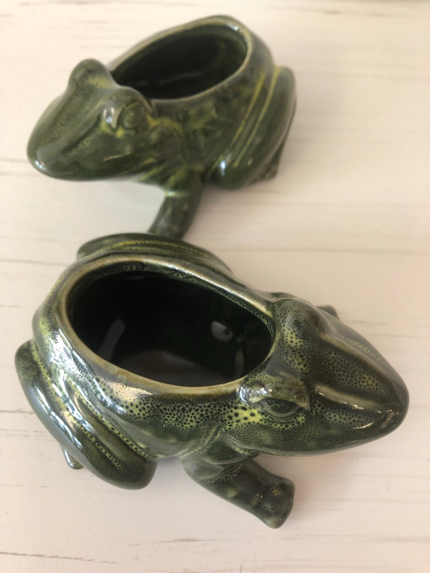 Frog Mini Planter