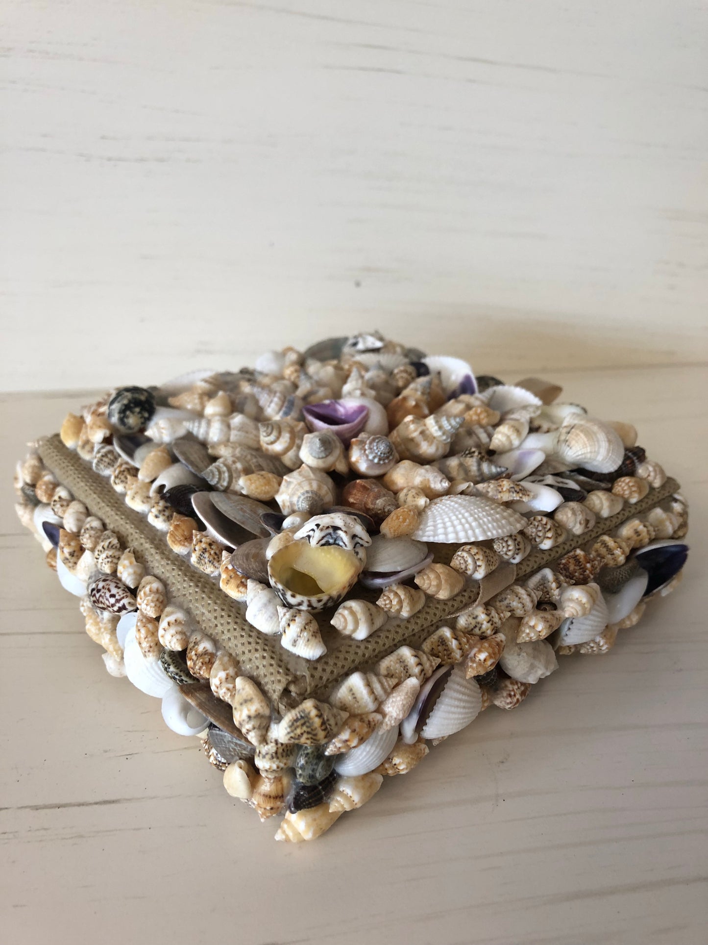 Seashell Treasure Box