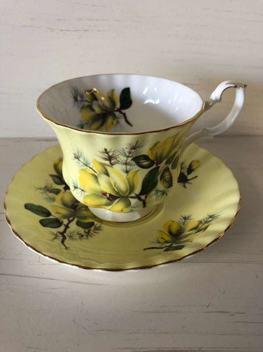 Royal Albert Cup & Saucer