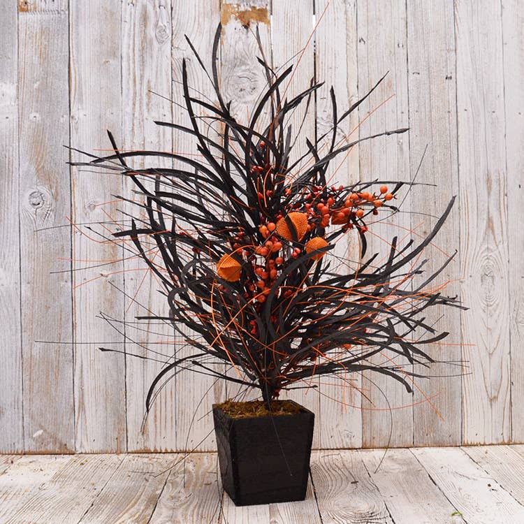 Harvest Blaze Tree