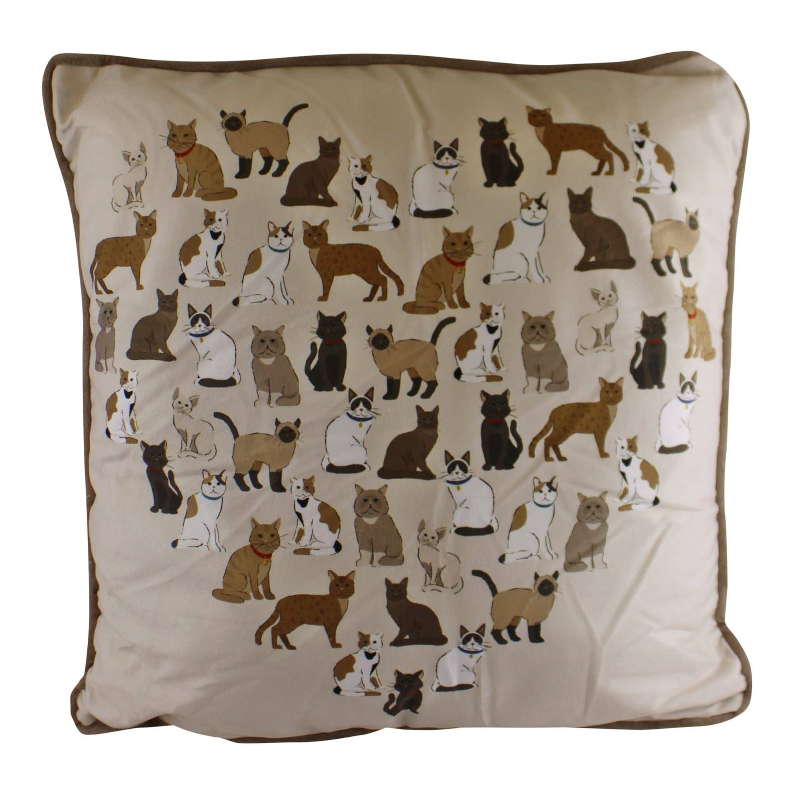 Cat Lover Design Scatter Cushion, 45cm