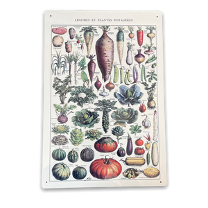 Vintage Metal Sign - Vintage Botanical Kitchen Vegetables Sign