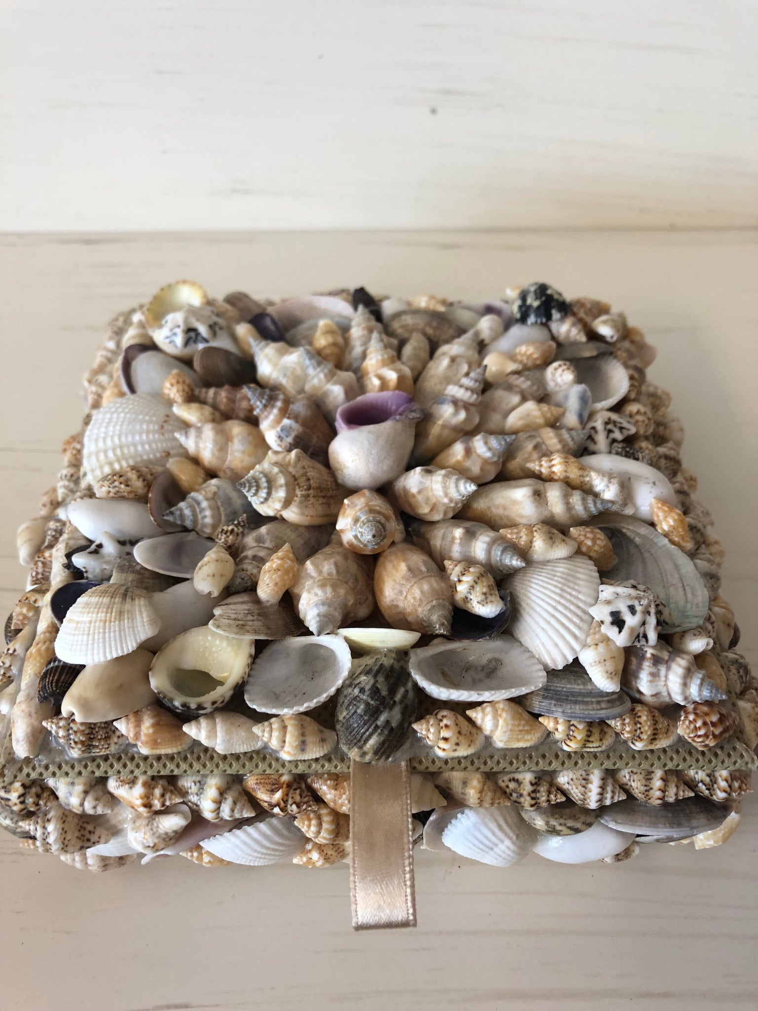 Seashell Treasure Box