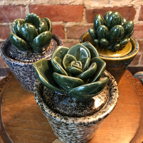 Succulent Ceramic Box