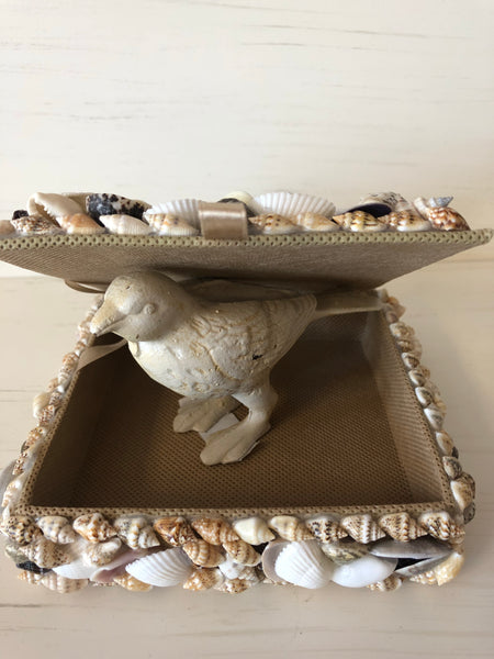 Seashell Treasure Box