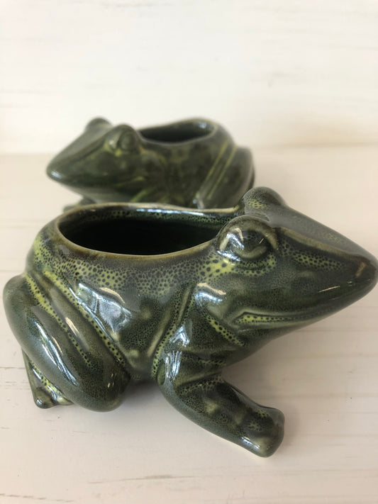Frog Mini Planter